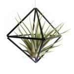 DIY himmeli Cube M, must
