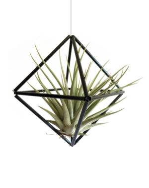 DIY himmeli Cube M, must