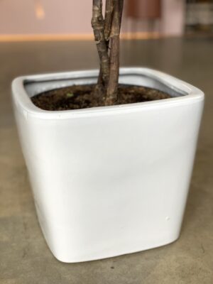Polnix Moon lillepott, 13cm