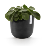 Ecopots Oslo
