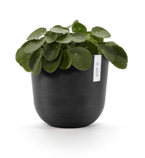 Ecopots Oslo