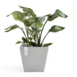 Ecopots Rotterdam, 30cm, hallikasvalge