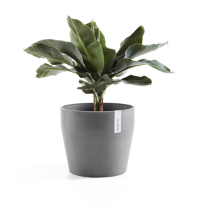 Ecopots Sankara