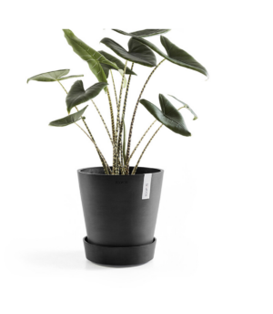 Ecopots ratastel alustaldrik