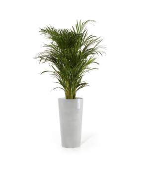 Ecopots Amsterdam kõrge pott, hallikasvalge, 66cm