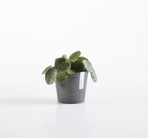 Ecopots Amsterdam Mini