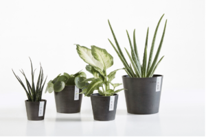 Ecopots Amsterdam Mini