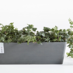 Ecopots Bruges istutuskast