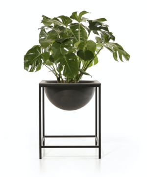 Ecopots Monaco lillelauad