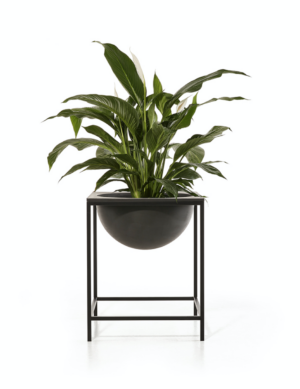Ecopots Monaco lillelauad