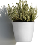 Ecopots Amsterdam Wall