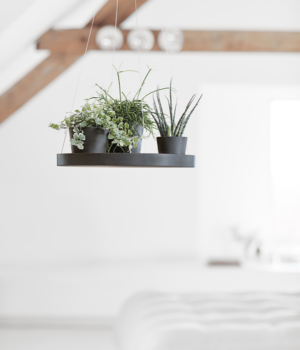 Ecopots ripp-taldrik