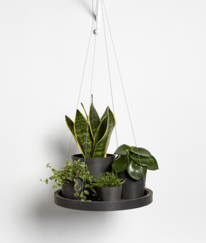 Ecopots ripp-taldrik