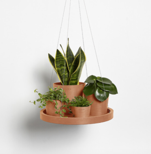 Ecopots ripp-taldrik