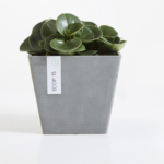 Ecopots Rotterdam, 30cm, hall