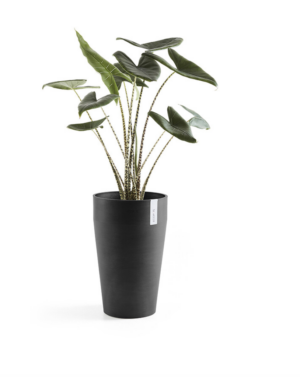 Ecopots Sankara keskmise kõrgusega pott