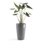 Ecopots Sankara keskmise kõrgusega pott