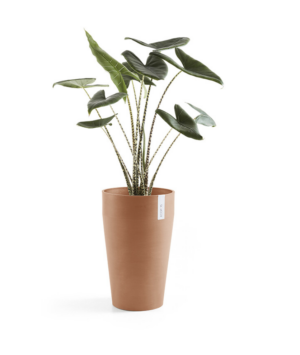 Ecopots Sankara keskmise kõrgusega pott
