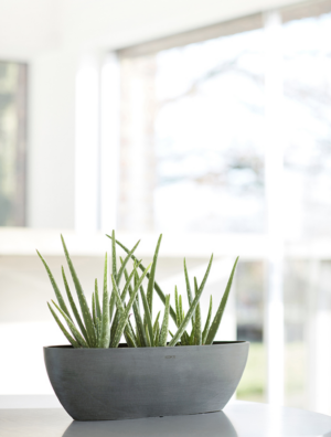 Ecopots Sofia, antratsiit