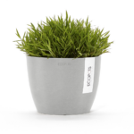 Ecopots Stockholm, hallikasvalge