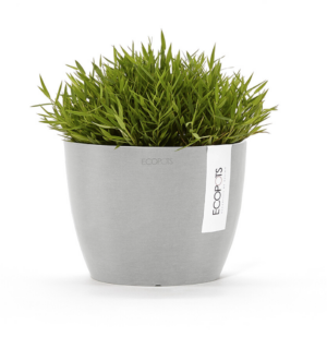 Ecopots Stockholm, hallikasvalge